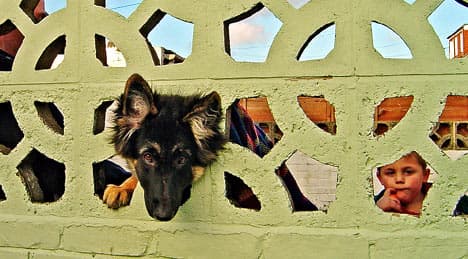 答辩顺利结束-毕业啦~ - petsintrouble003